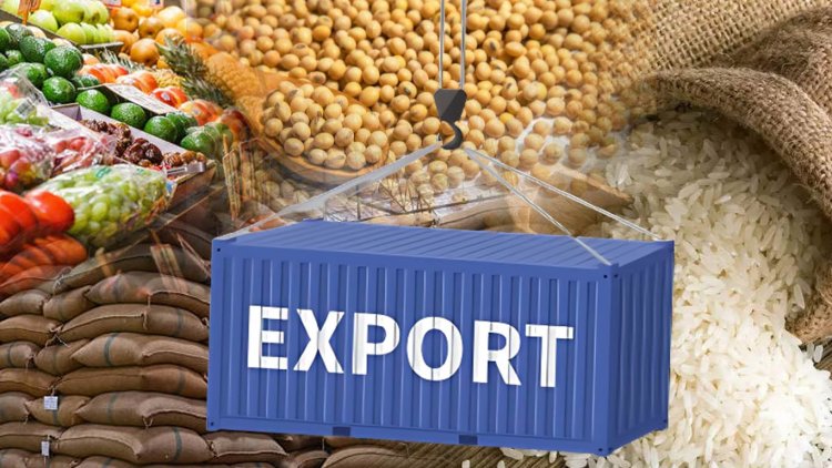 balaji-traders-exports balaji-traders-exports